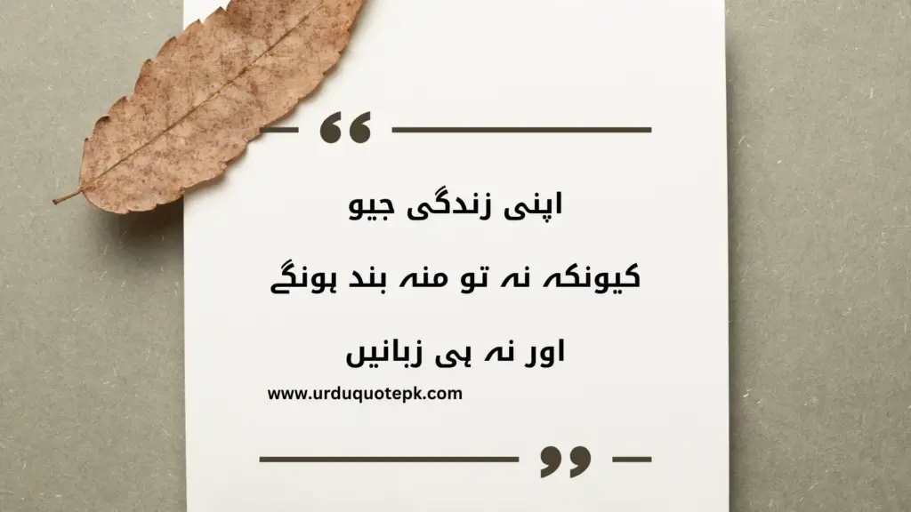 A Picture of Inspirational Urdu Quotes