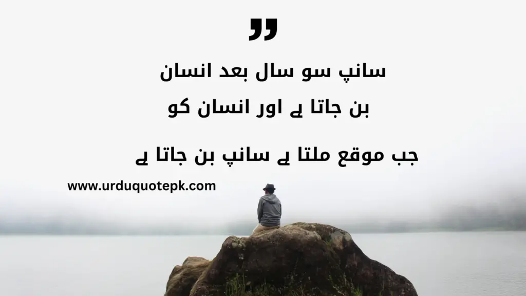 A Picture of a man sitting on a rock and looking to sea with Urdu Quotes on life|Zindagi