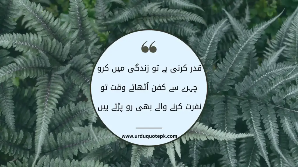 A Picture of small tree leaves with Urdu Quotes on life|Zindagi