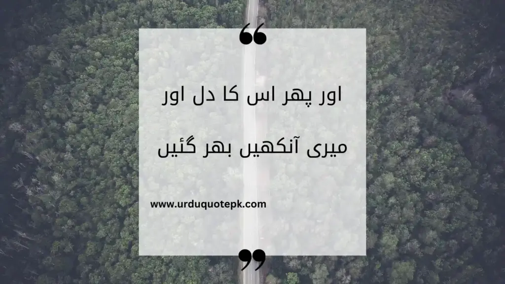 A Picture of forest with Sad Urdu Quotes