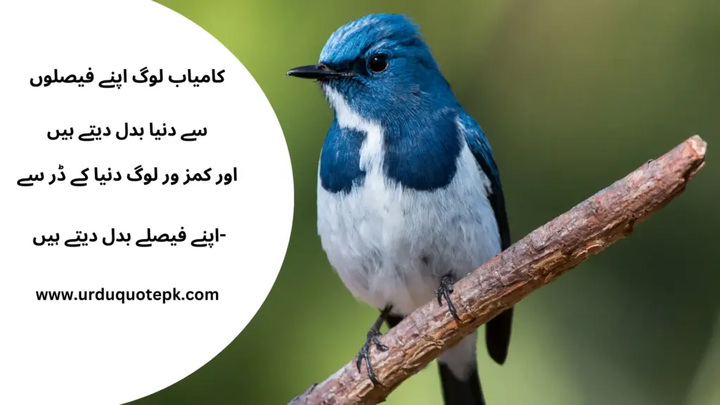 A Picture of a bird sitting on a branch of tree  with Urdu Quotes on life|Zindagi