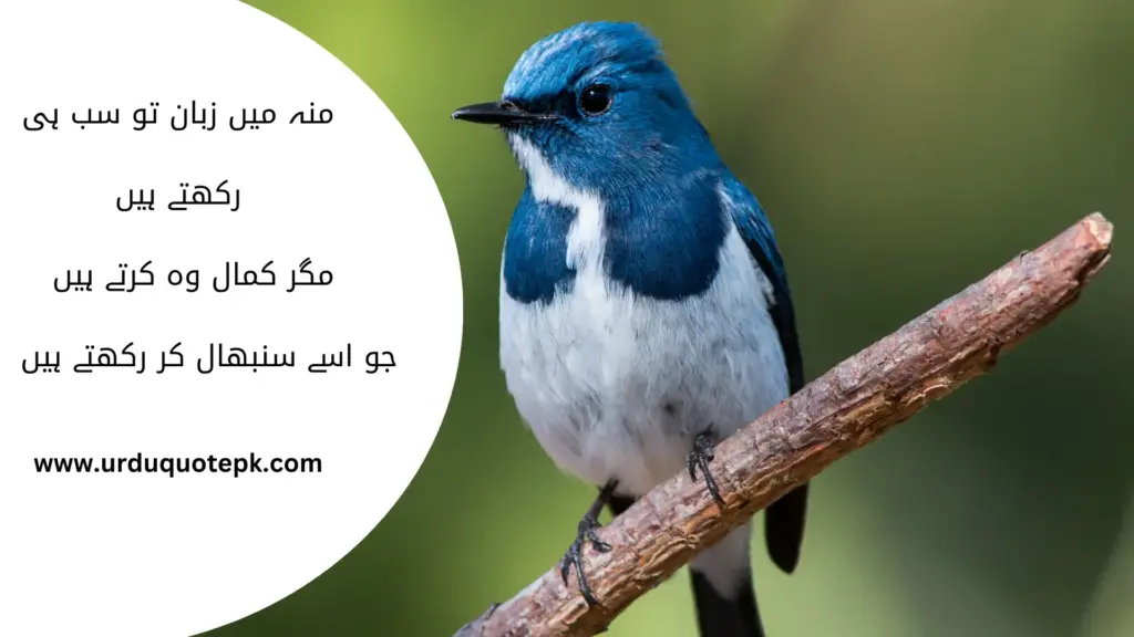 A Picture of a bird sitting on a branch of tree  with Urdu Quotes on life|Zindagi