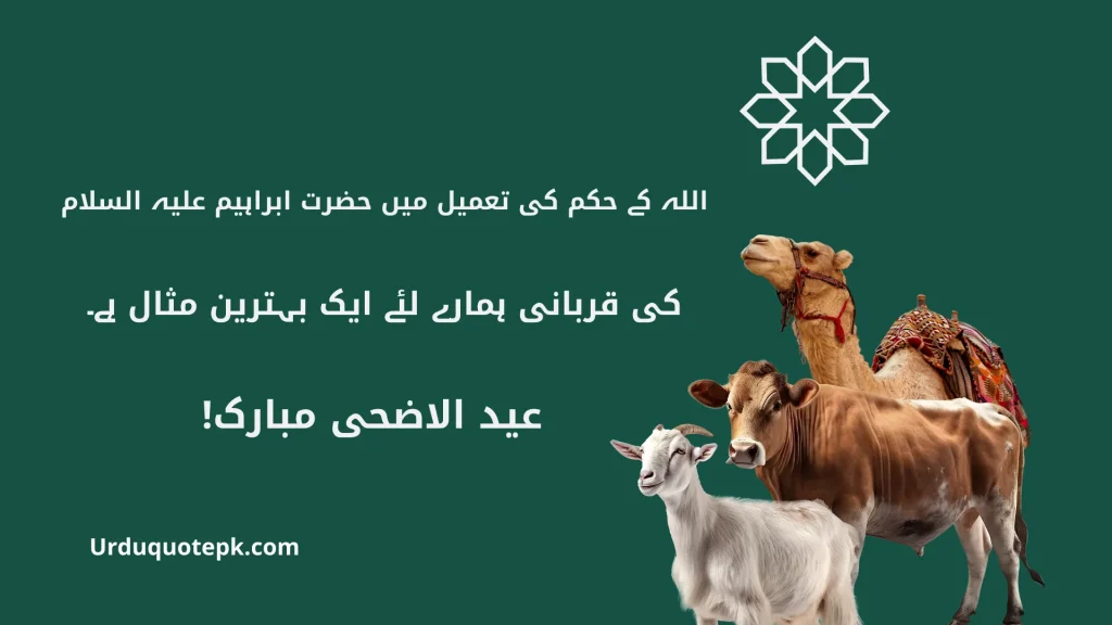 A Picture of Eid Ul Adha Animals with Eid Ul Adha Quotes In Urdu