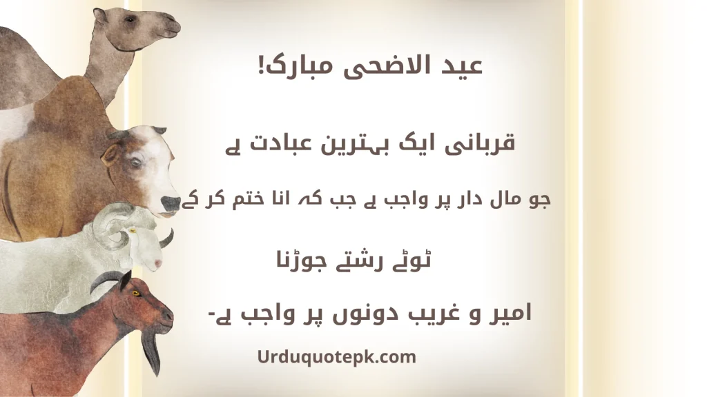 A Picture of Eid Ul Adha Animals with Eid Ul Adha Quotes In Urdu