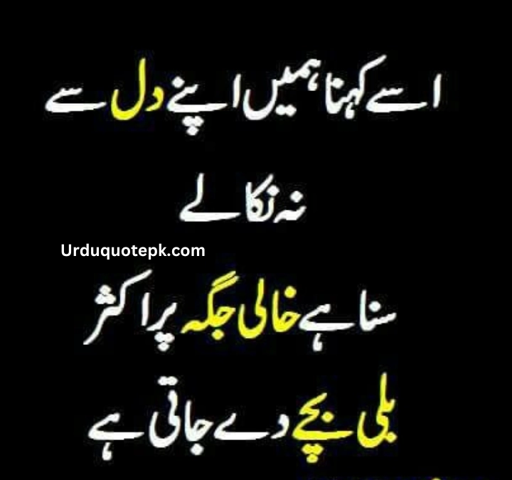 Funny Urdu Quotes 12