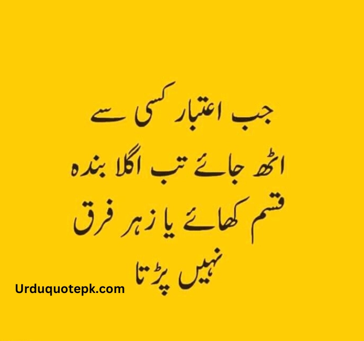 Funny Urdu Quotes 3 1