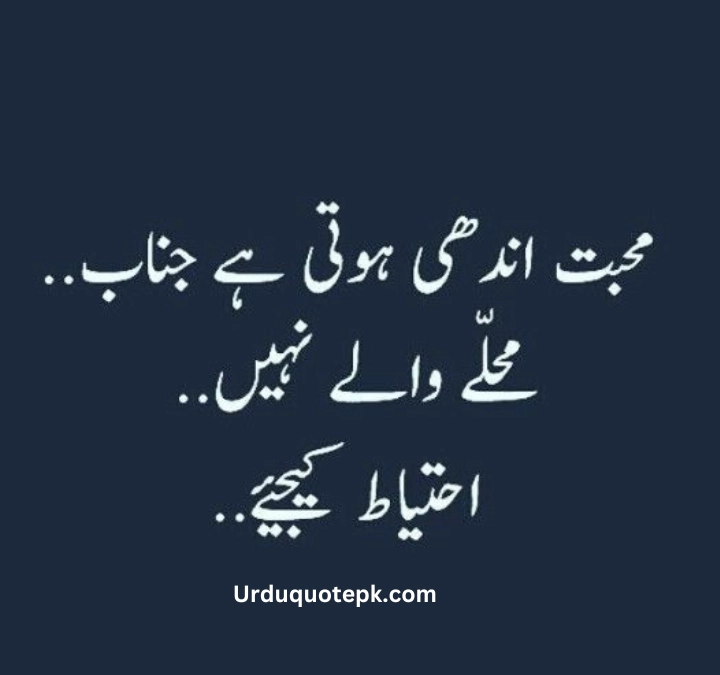 Funny Urdu Quotes 3