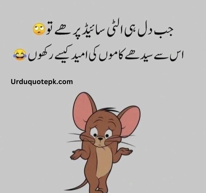 Funny Urdu Quotes 7