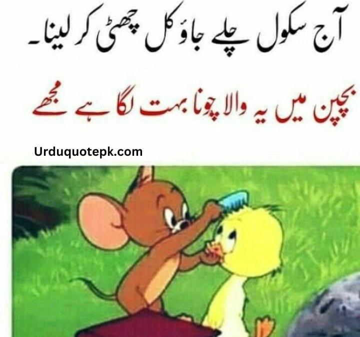 Funny Urdu Quotes 9