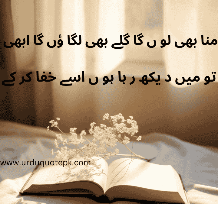 sorry quotes in urdu .