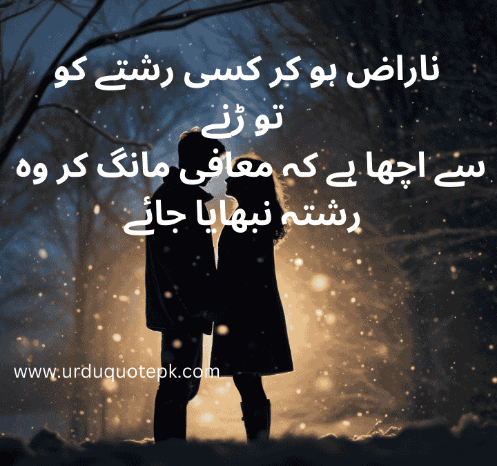 sorry quotes in urdu for healing.