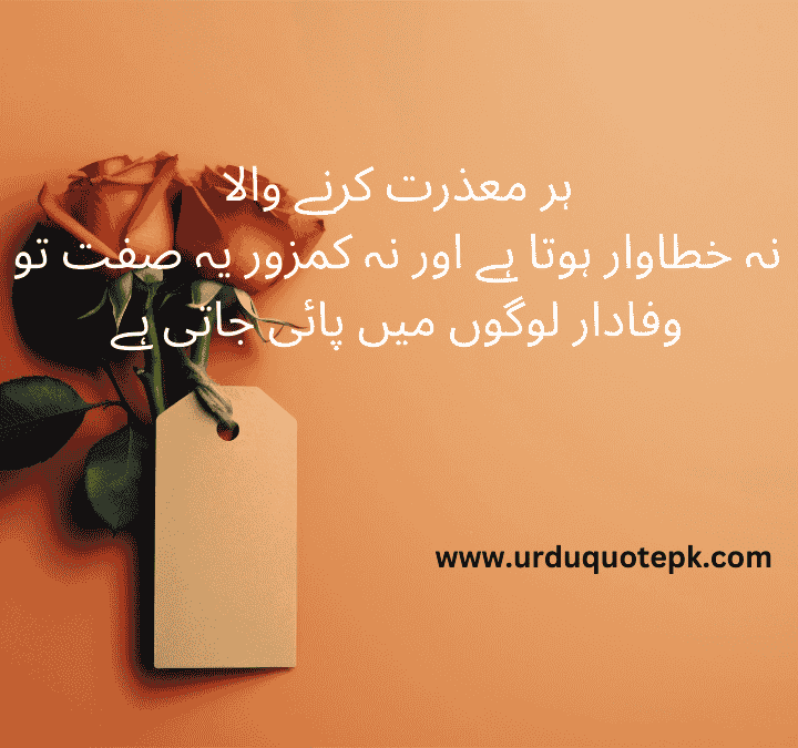 this sorry quotes in urdu show loyalnes .